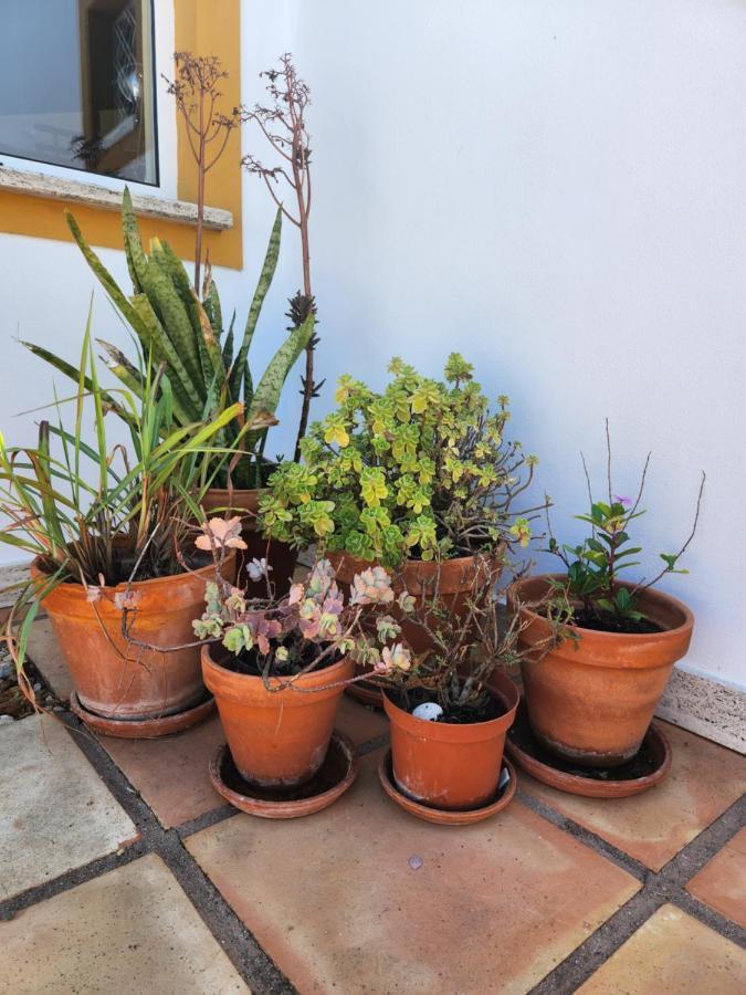 Quinta Das Amendoas Carvoeiro  Kültér fotó